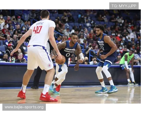 大数据模拟揭示森林狼传球渗透率持续偏强趋势动态全景深度解析研