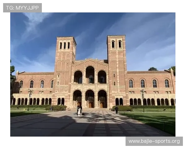 N1国际引领全球教育交流与职业发展新机遇探索