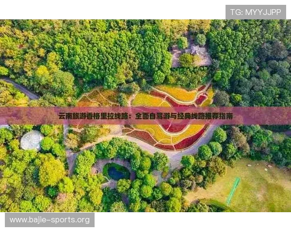 同乐城周边旅游美食攻略全面指南畅享休闲娱乐体验